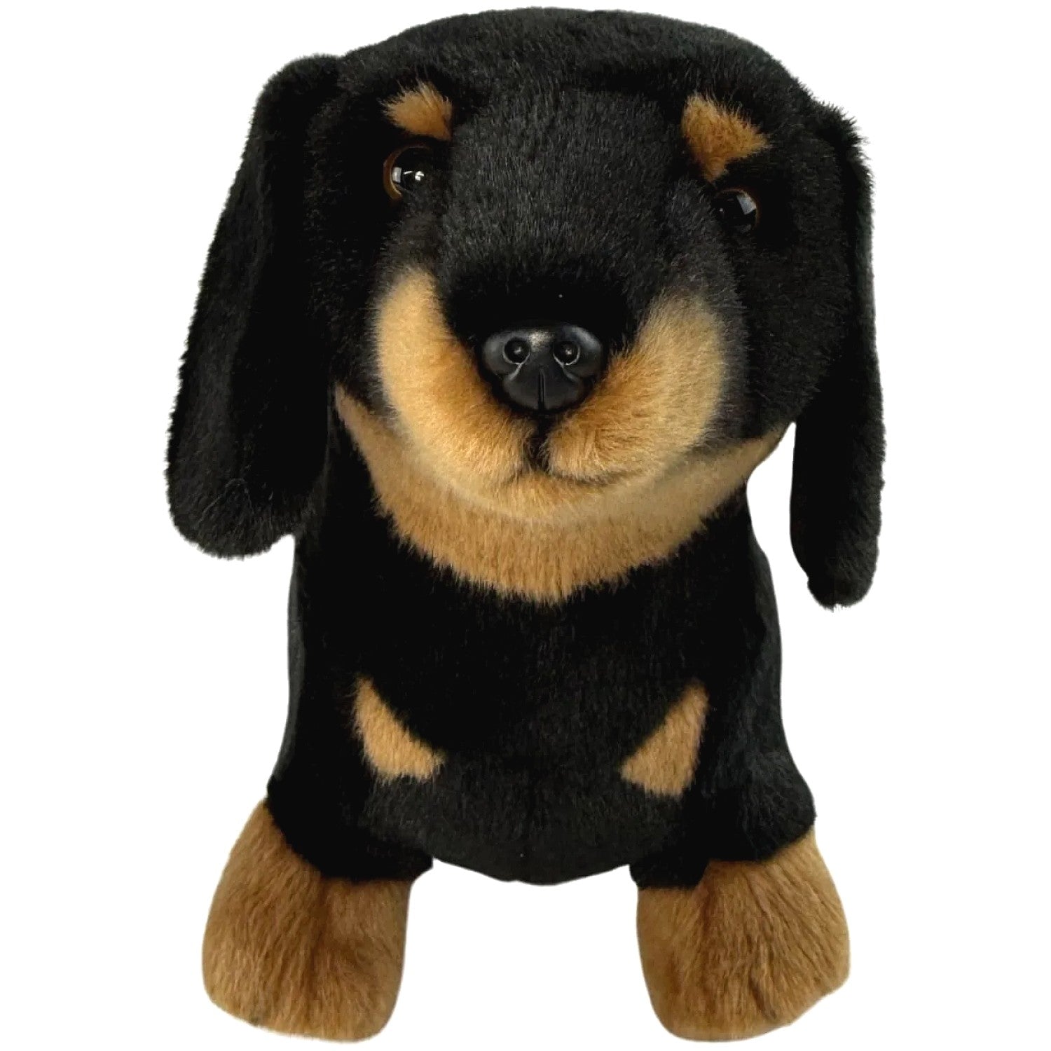 Bocchetta - Buddy Black and Tan Dachshund Standing Soft Plush 36cm