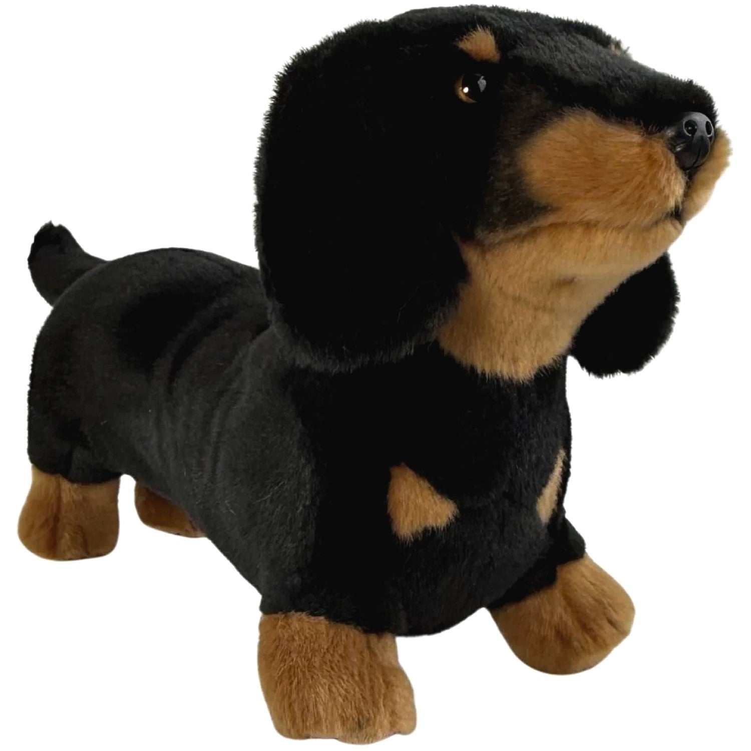Bocchetta - Buddy Black and Tan Dachshund Standing Soft Plush 36cm