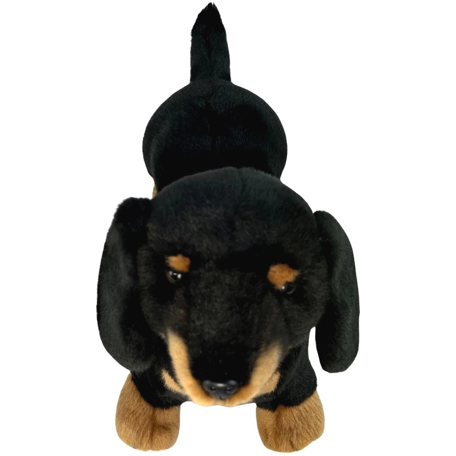 Bocchetta - Buddy Black and Tan Dachshund Standing Soft Plush 36cm