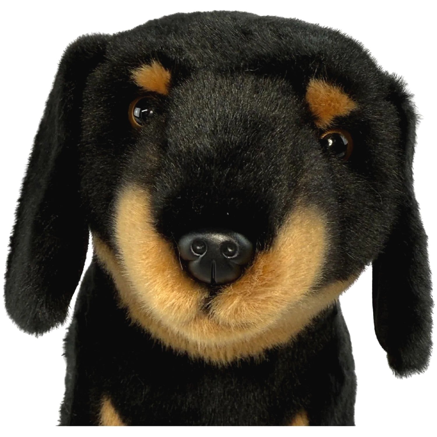 Bocchetta - Buddy Black and Tan Dachshund Standing Soft Plush 36cm