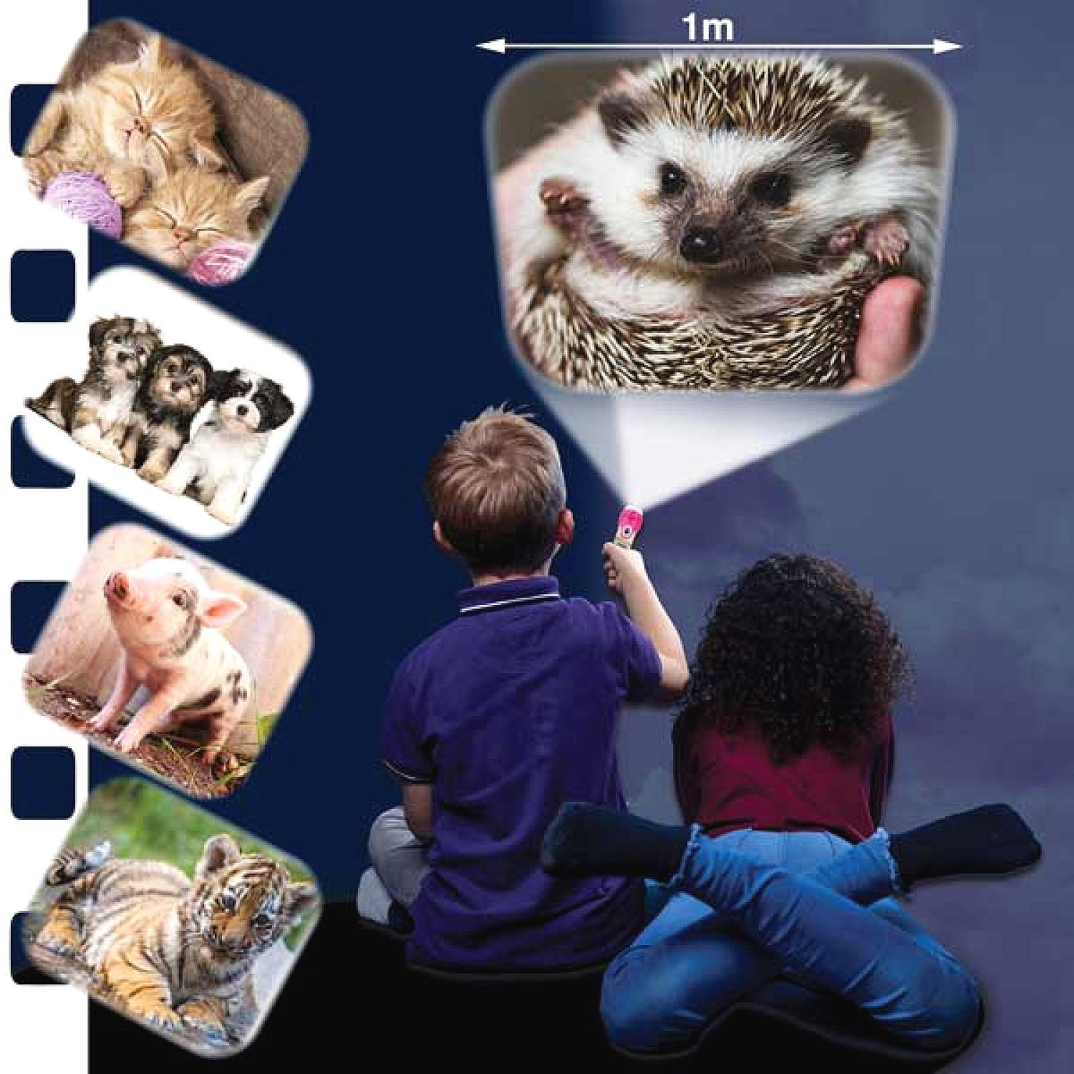 Brainstorm Toys - Cute & Cuddly Torch & Projector