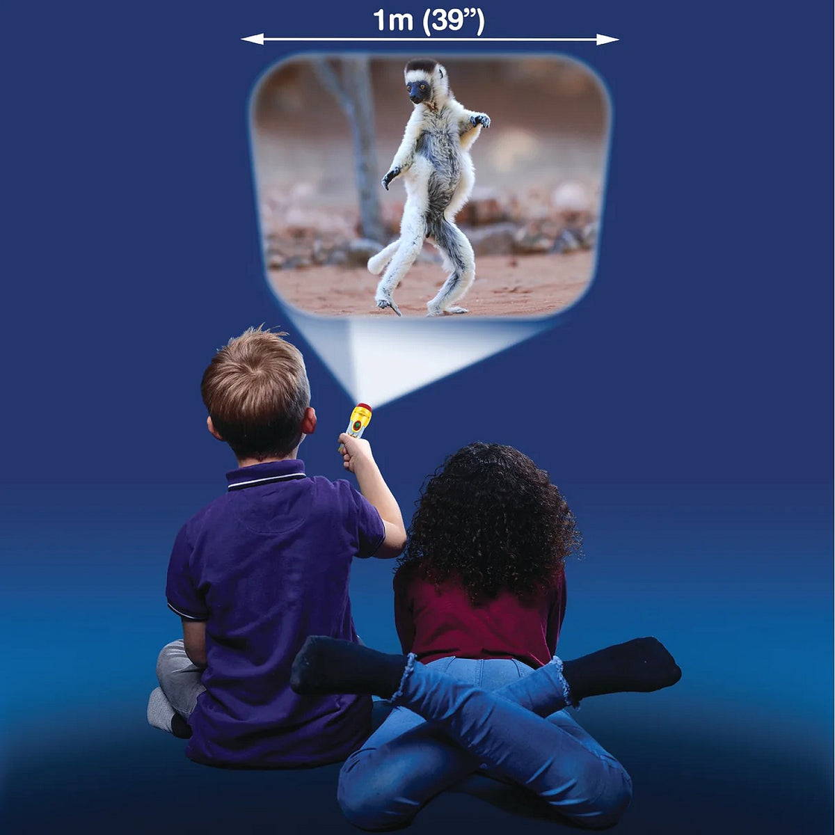 Brainstorm Toys - Funny Animals Torch & Projector