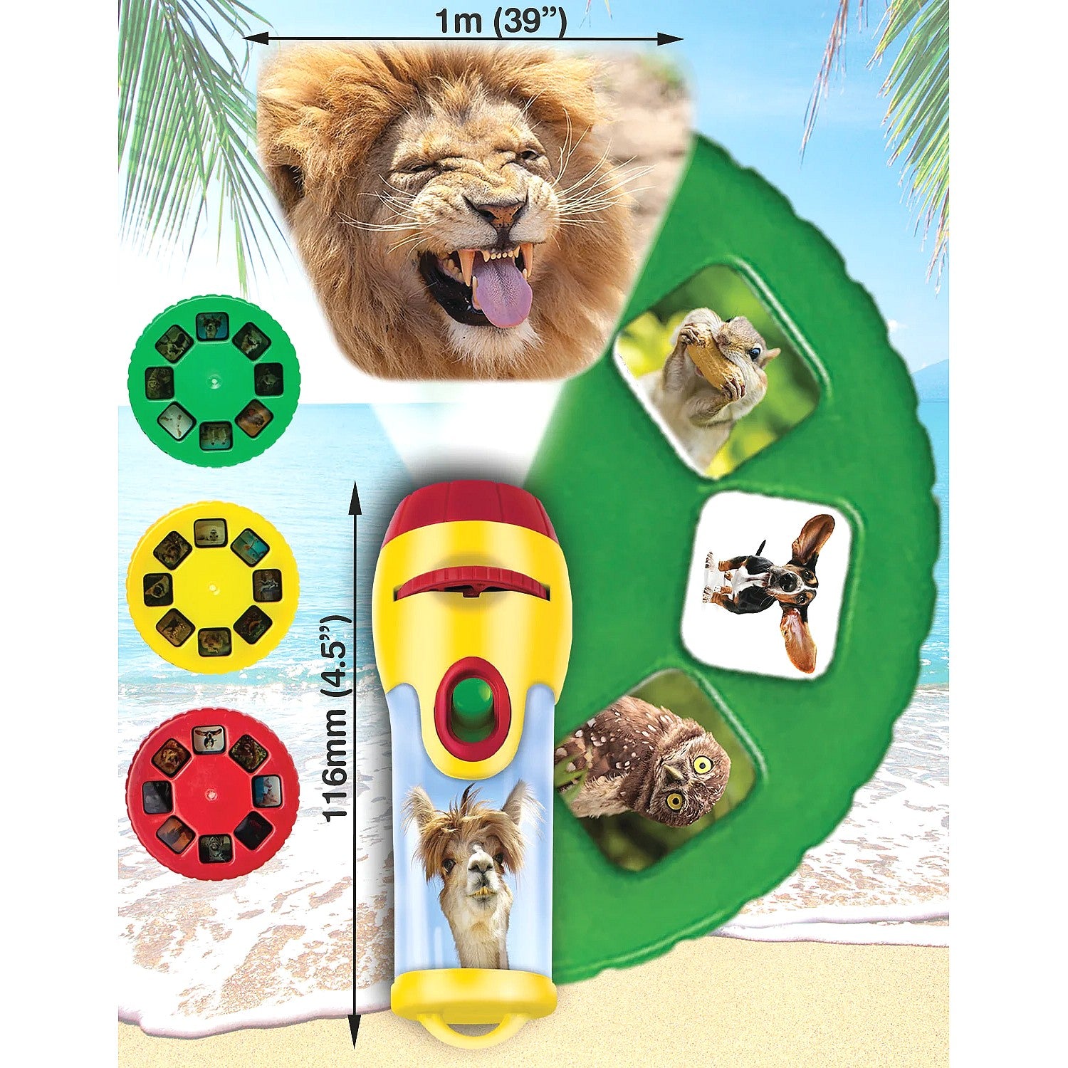 Brainstorm Toys - Funny Animals Torch & Projector
