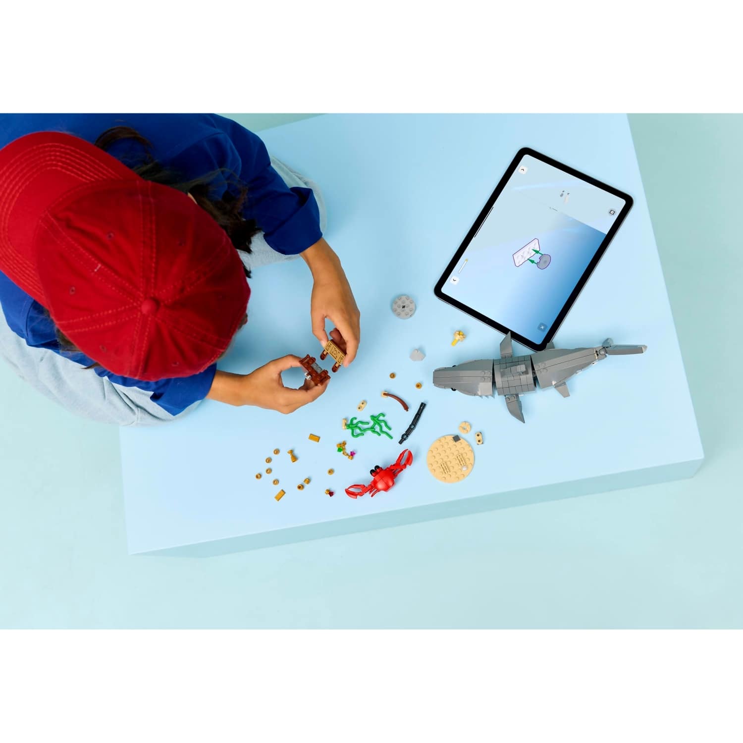 LEGO® 31381 Fierce Shark with a Treasure Chest - Creator 3-in-1
