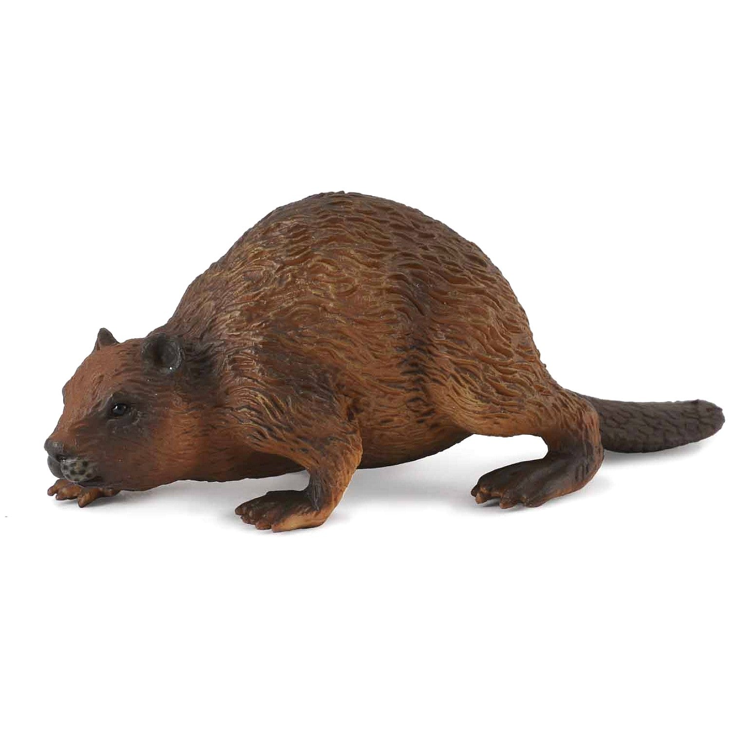 CollectA - Beaver Animal Figurine