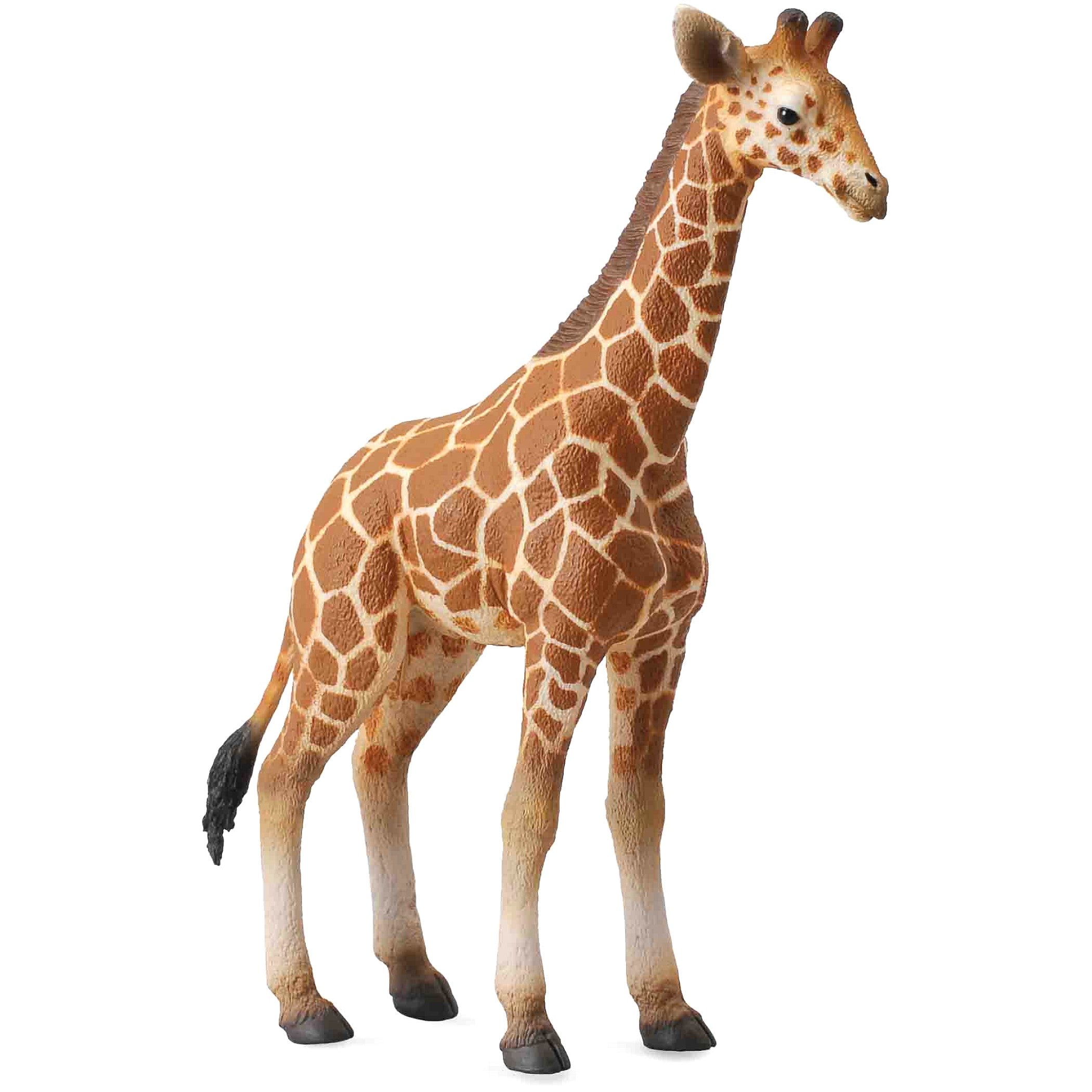 CollectA - Reticulated Giraffe Calf Animal Figurine