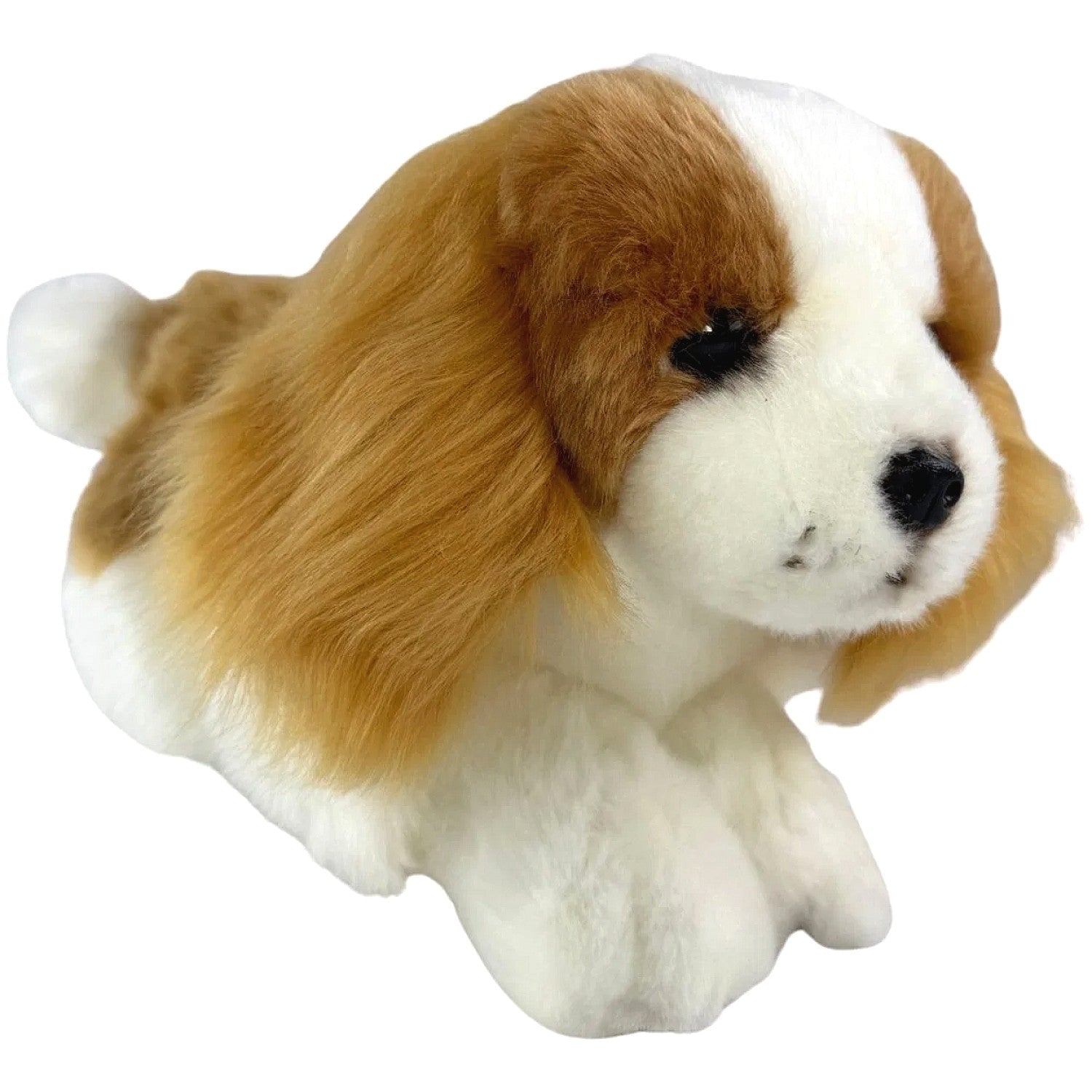 Bocchetta - Phoebe Brown Cavalier King Charles Spaniel Floppy Soft Plush 28cm
