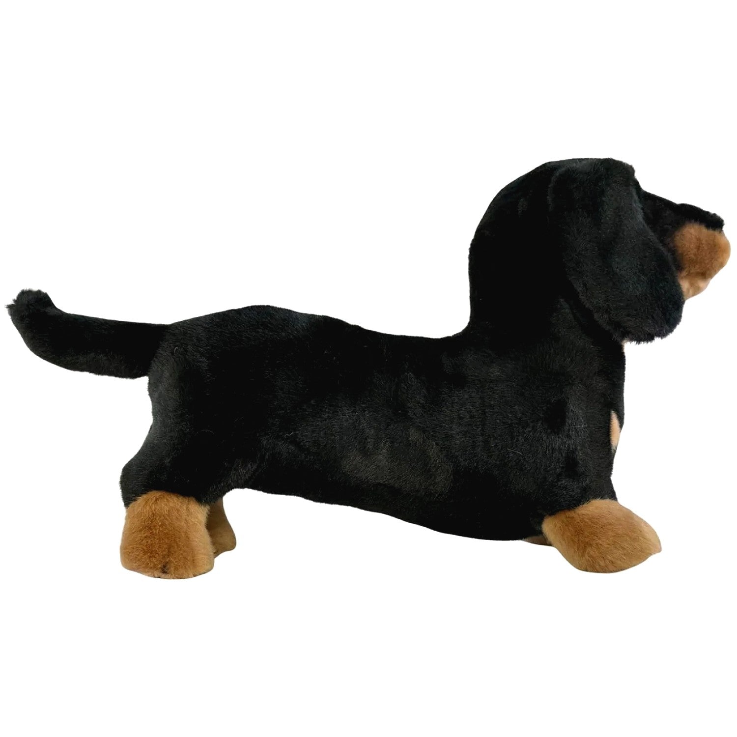 Bocchetta - Buddy Black and Tan Dachshund Standing Soft Plush 36cm