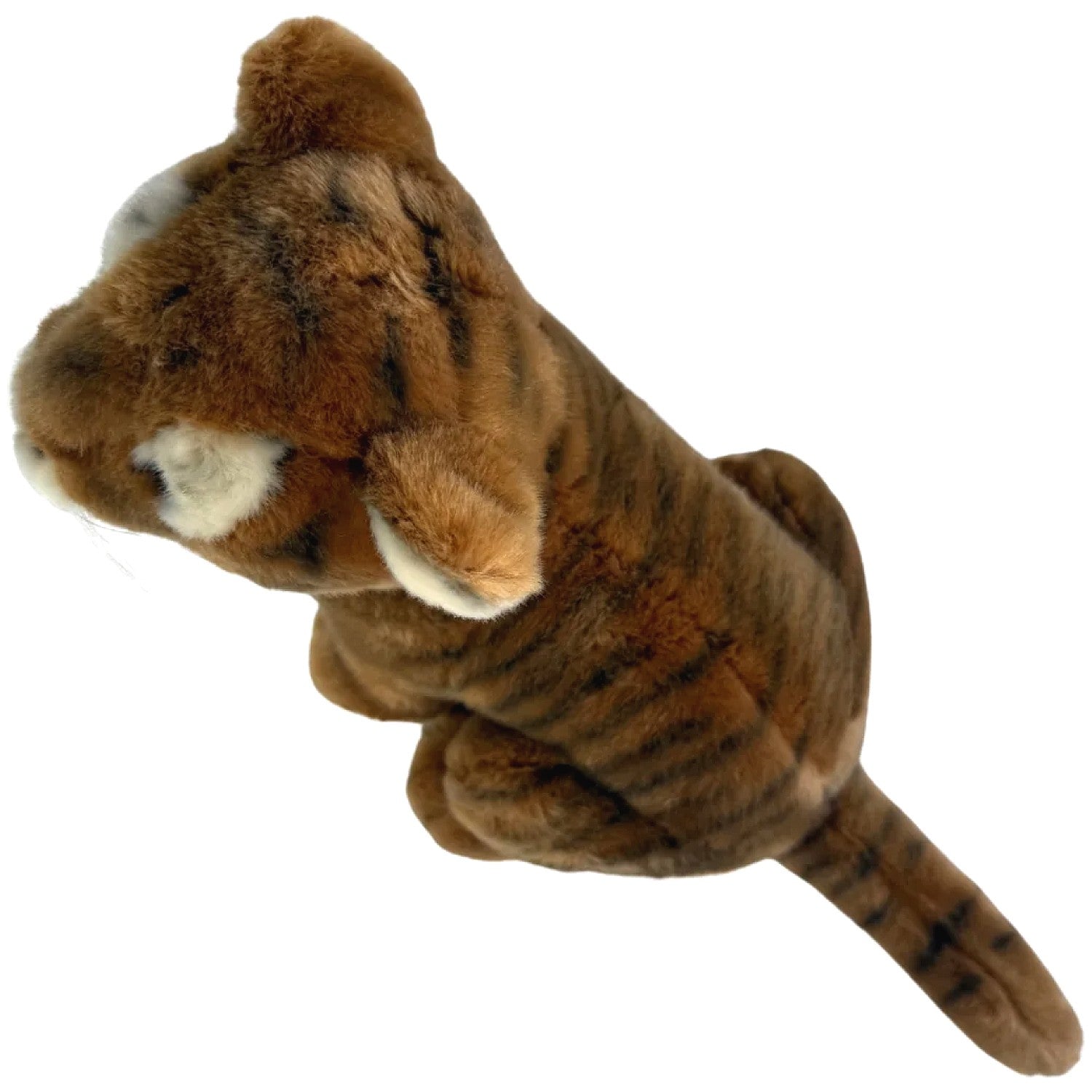 Bocchetta - Tony Tiger Cub Sitting Soft Plush 26cm