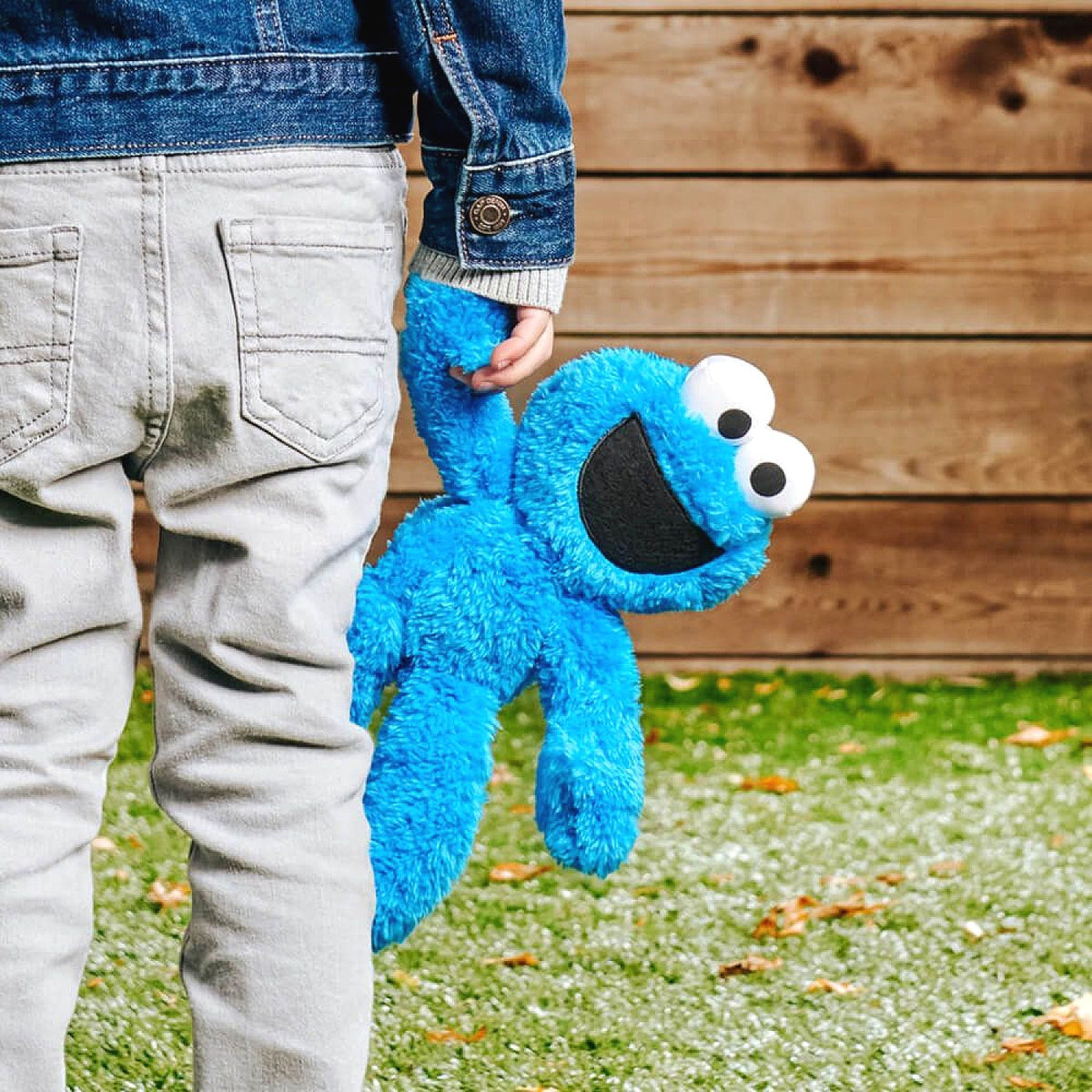 Sesame Street - Take Along Cookie Monster 24cm Plush